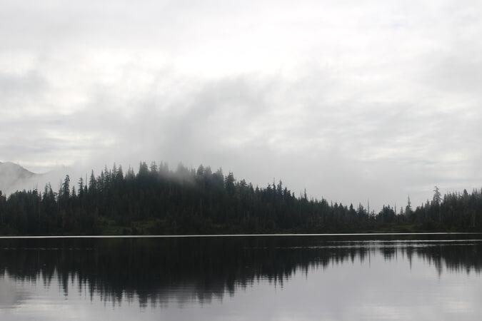 Showing a forest from a lake.